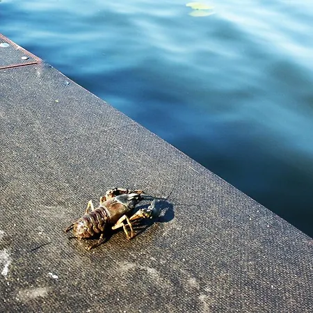 Appartement Jasmin I Lilia Jez. Sunowo Kolo Elku