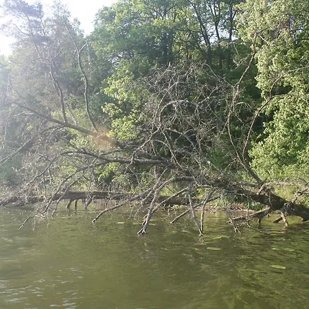 Jaśmin I Lilia Jez. Sunowo Koło Ełku Chrzanowo
